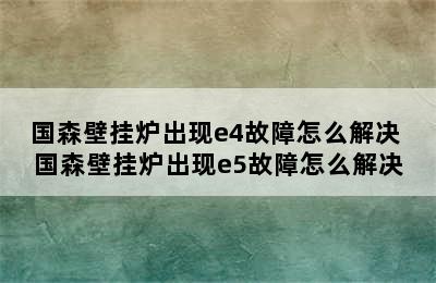 国森壁挂炉出现e4故障怎么解决 国森壁挂炉出现e5故障怎么解决